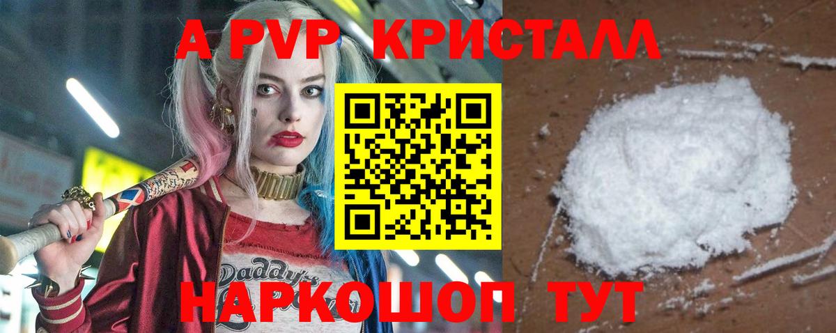 Альфа ПВП СК КРИС Тельмана