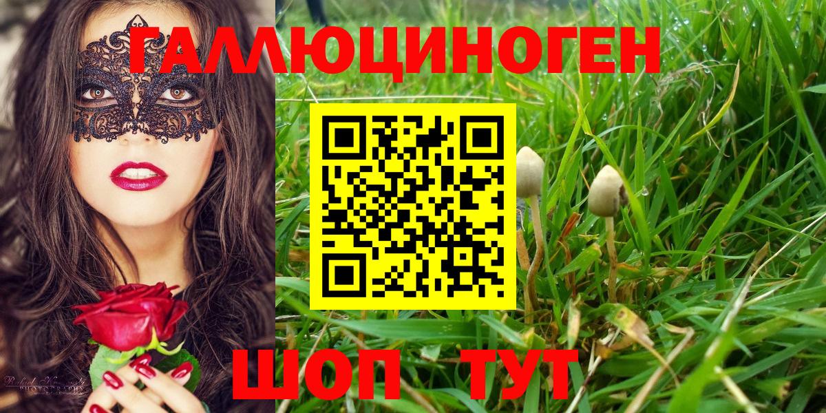 Галлюциногенные грибы Psilocybine cubensis  Вход с VPN  Тельмана 